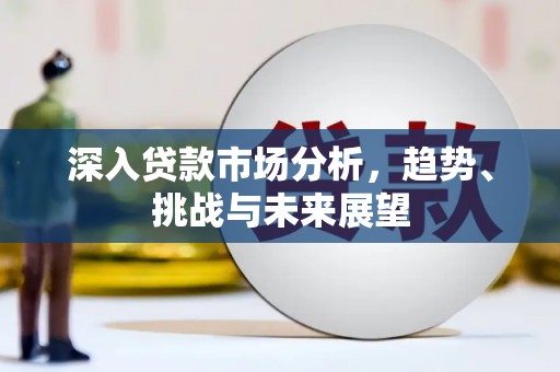 仁和深入贷款市场分析，趋势、挑战与未来展望