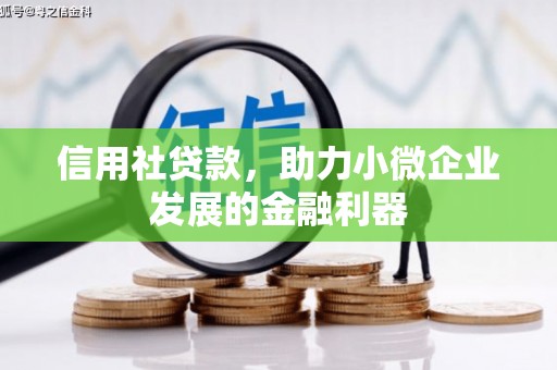 涟源信用社贷款，助力小微企业发展的金融利器