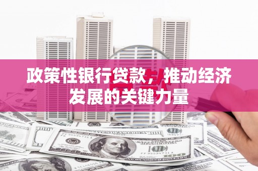 洮北政策性银行贷款，推动经济发展的关键力量