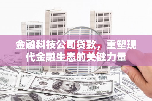 洮北金融科技公司贷款，重塑现代金融生态的关键力量