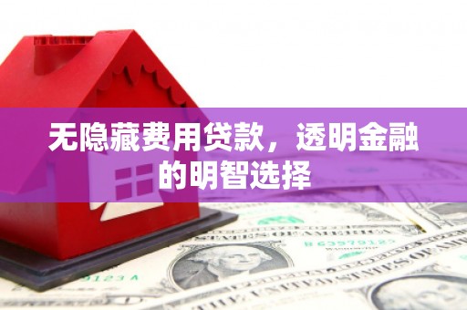芦竹无隐藏费用贷款，透明金融的明智选择