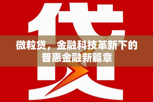 兰陵微粒贷，金融科技革新下的普惠金融新篇章