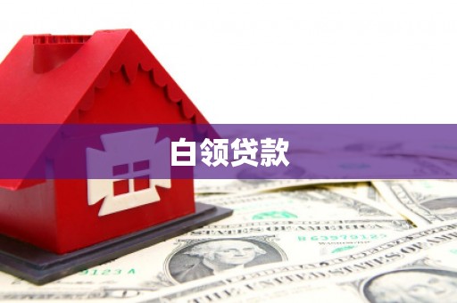 子洲白领贷款