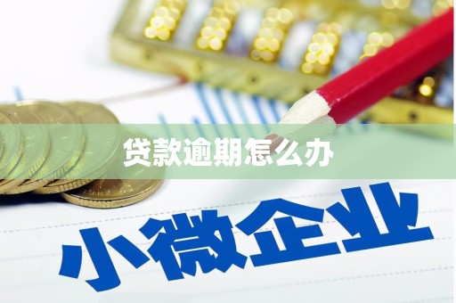 碌曲贷款逾期怎么办
