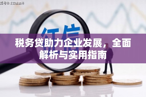 夏河税务贷助力企业发展，全面解析与实用指南