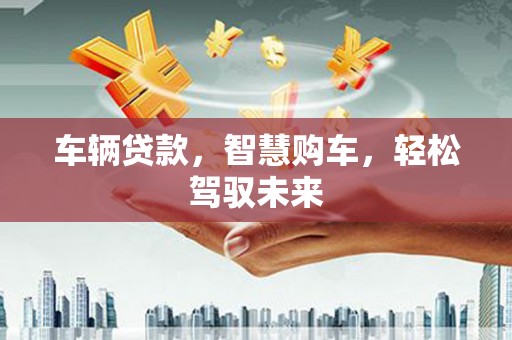 博尔塔拉蒙古车辆贷款，智慧购车，轻松驾驭未来