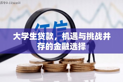 泸水大学生贷款，机遇与挑战并存的金融选择