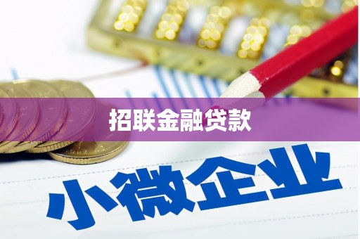 大园招联金融贷款