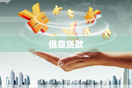 大园低息贷款