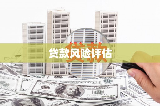 安塞贷款风险评估