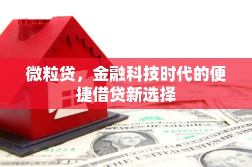 南漳微粒贷，金融科技时代的便捷借贷新选择