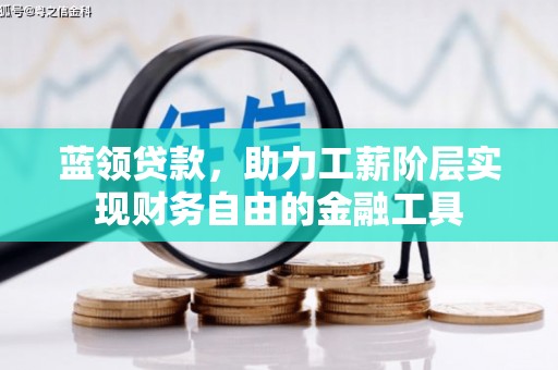 双河蓝领贷款，助力工薪阶层实现财务自由的金融工具