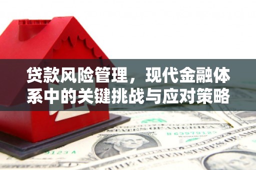 孝昌贷款风险管理，现代金融体系中的关键挑战与应对策略