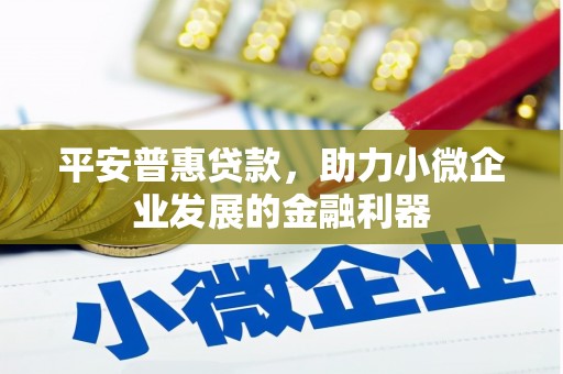 孝昌平安普惠贷款，助力小微企业发展的金融利器