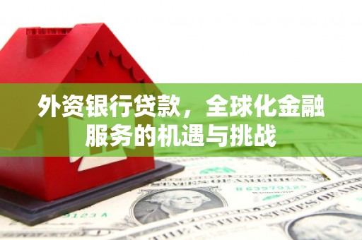 子洲外资银行贷款，全球化金融服务的机遇与挑战