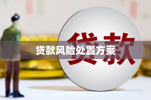 宝清贷款风险处置方案