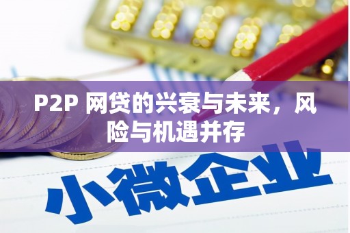 贵定P2P 网贷的兴衰与未来，风险与机遇并存