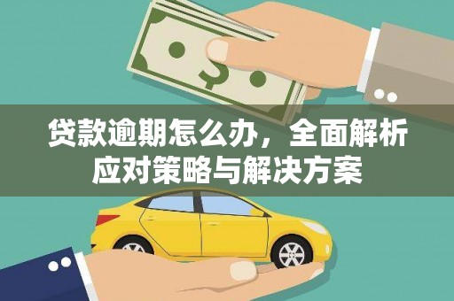 毕节贷款逾期怎么办，全面解析应对策略与解决方案