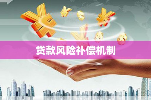 芳苑贷款风险补偿机制