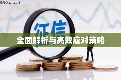 长垣全面解析与高效应对策略