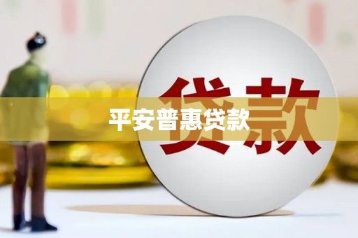 长垣平安普惠贷款