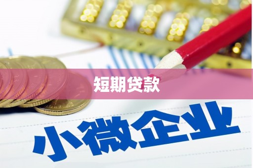 卫东短期贷款